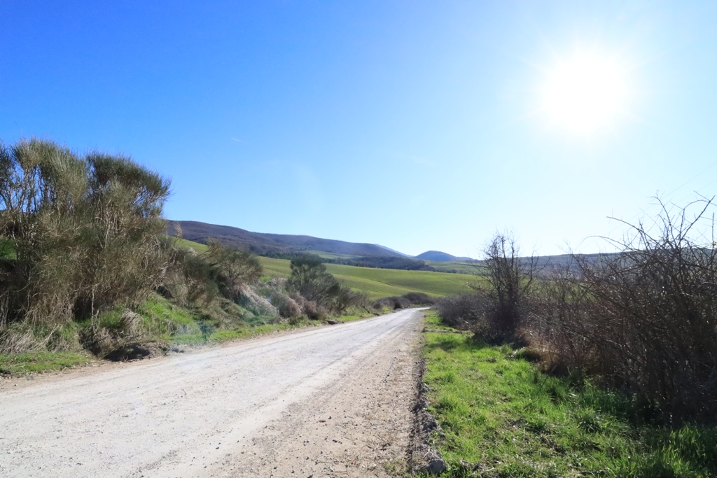 Gestione delle strade vicinali normativa e leggi