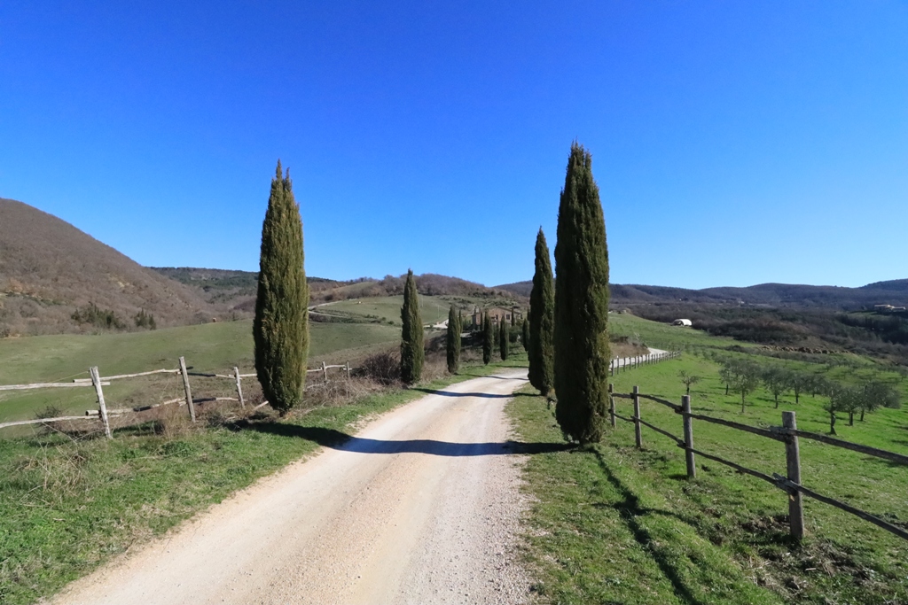 Gestione delle strade vicinali ad uso pubblico